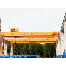 WEIHUA Double Girder Overhead Crane with Electric Hoist